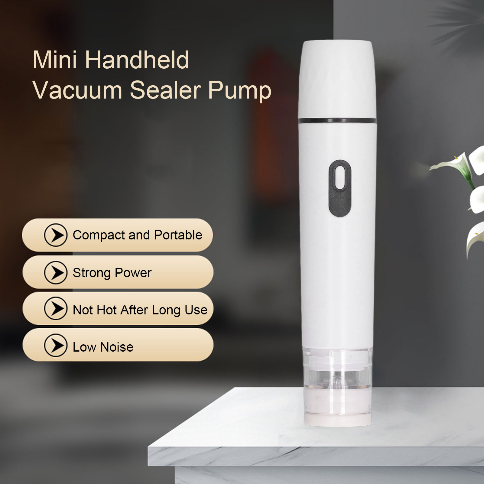 Pompe à Air électrique, scelle - Food Storage Vacuum Pump avis et prix