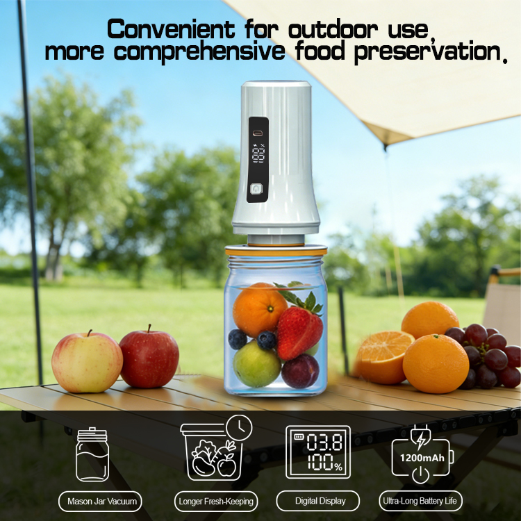 Machine de mise sous vide port - Food Storage Vacuum Pump avis et prix